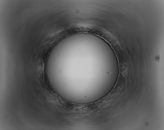 X0000101401061200807141151