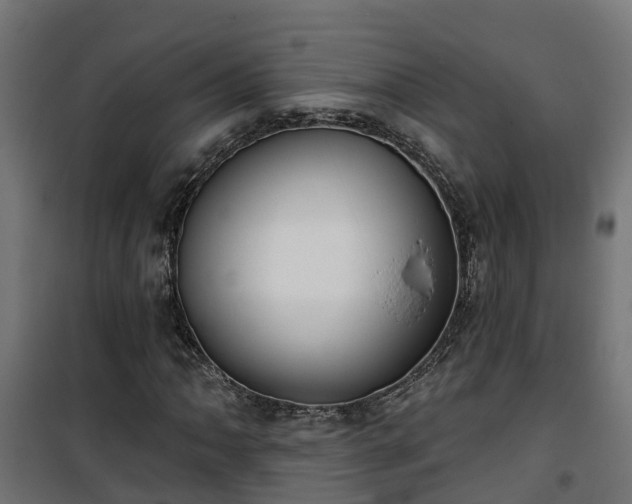 X0000101401062200807141151