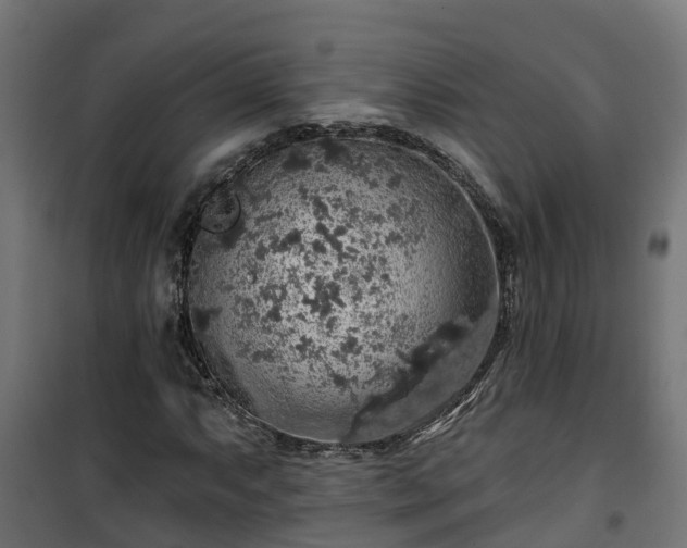 X0000101401063200807141151