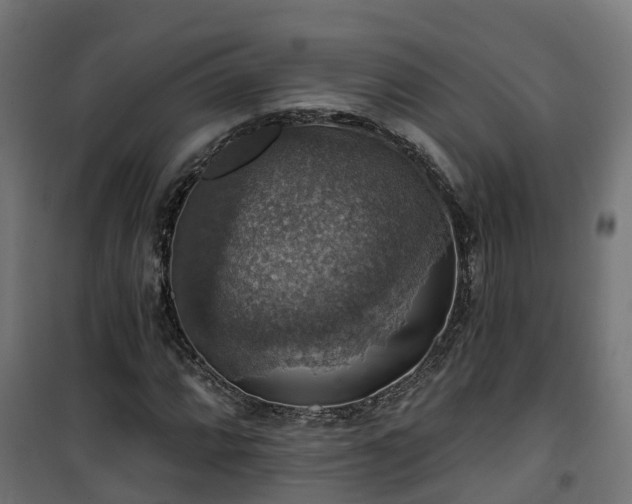 X0000101401064200807141151