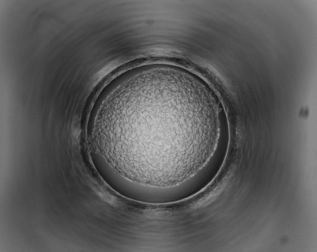 X0000101401065200807141151