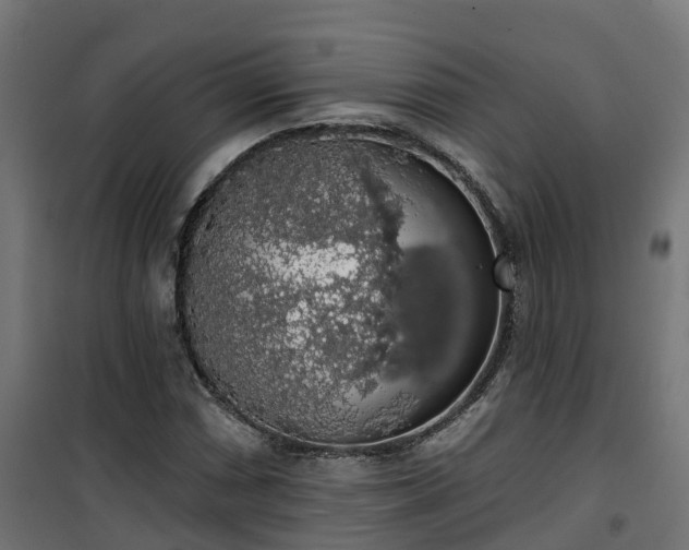 X0000101401066200807141151