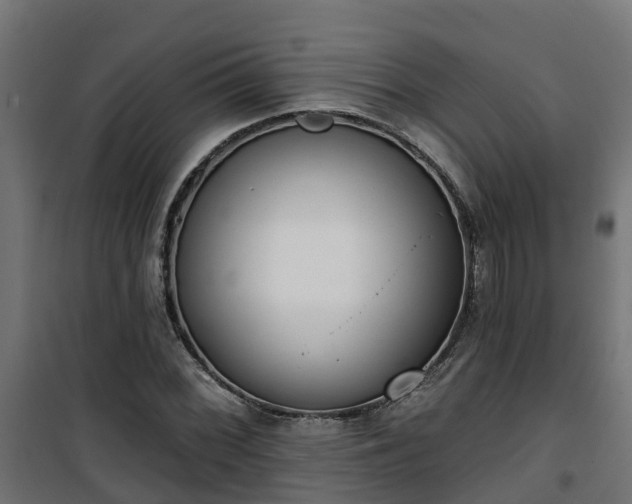 X0000101401068200807141151