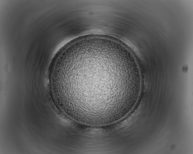 X0000101401070200807141151