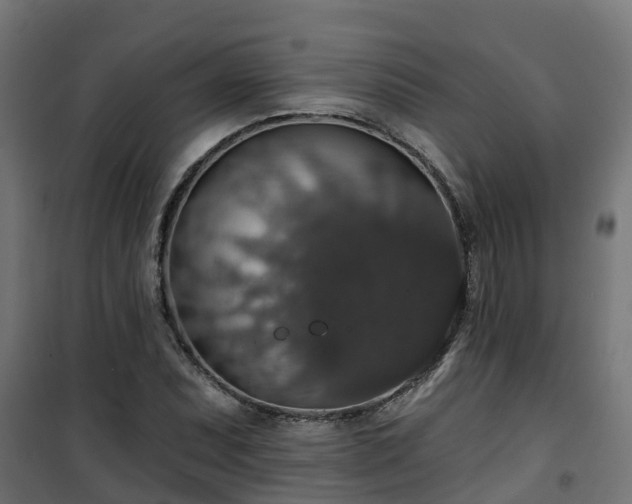 X0000101401071200807141151