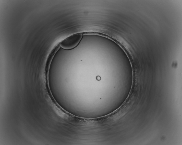 X0000101401072200807141151