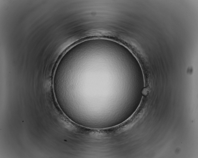 X0000101401073200807141151