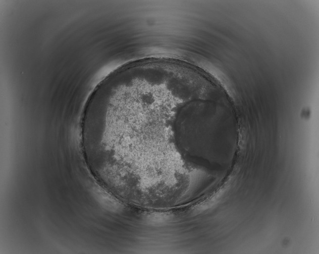 X0000101401074200807141151