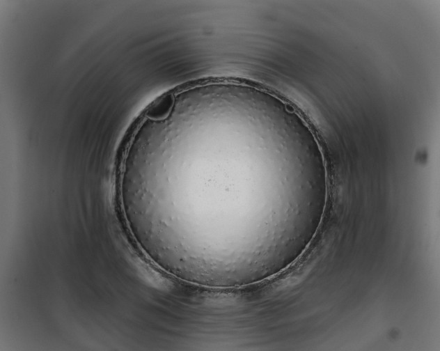 X0000101401076200807141151