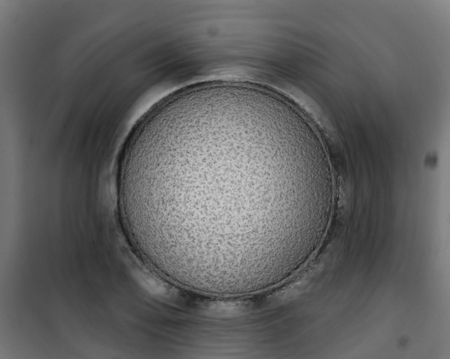 X0000101401078200807141151