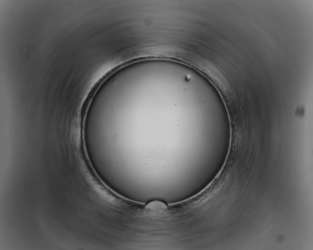 X0000101401079200807141151