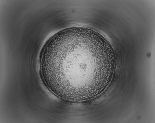 X0000101401080200807141151