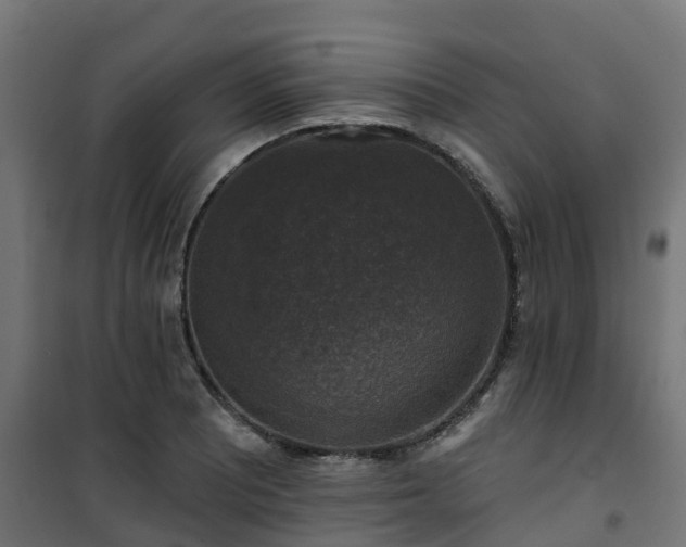 X0000101401081200807141151