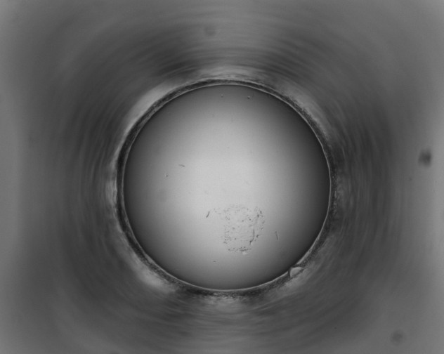 X0000101401082200807141151