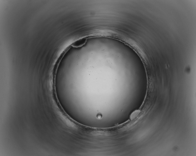 X0000101401083200807141151