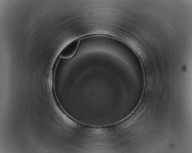 X0000101401084200807141151