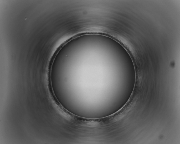 X0000101401085200807141151