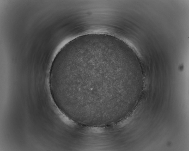 X0000101401086200807141151