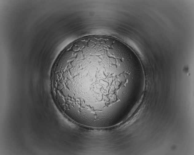 X0000101401087200807141151