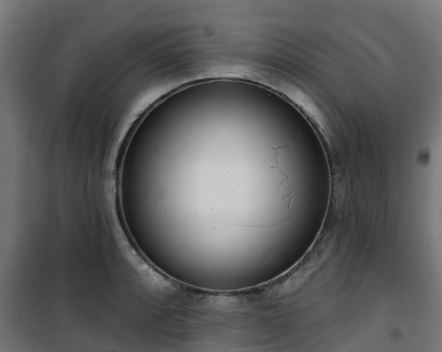 X0000101401088200807141151