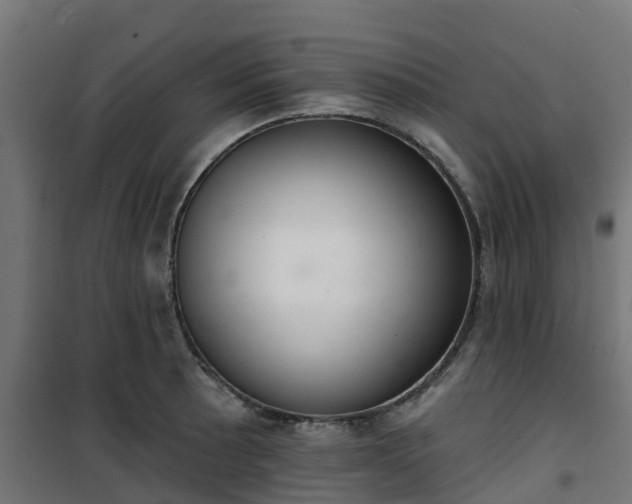 X0000101401089200807141151