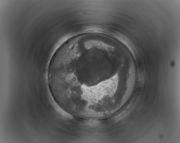 X0000101401090200807141151