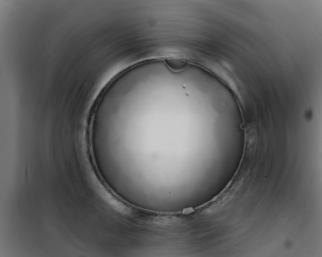 X0000101401091200807141151