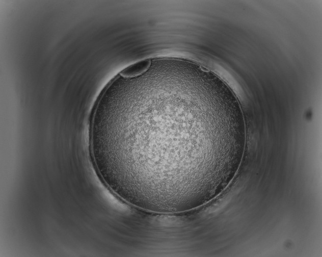 X0000101401092200807141151