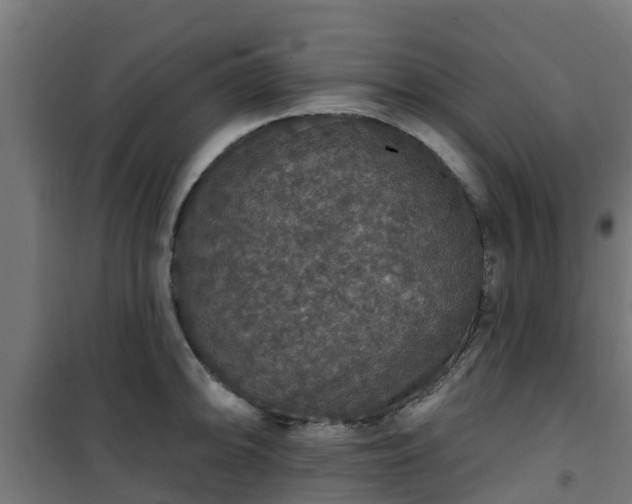 X0000101401094200807141151