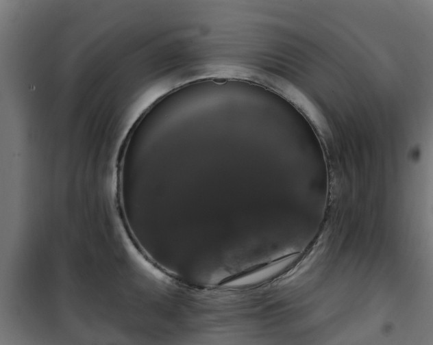 X0000101401095200807141151