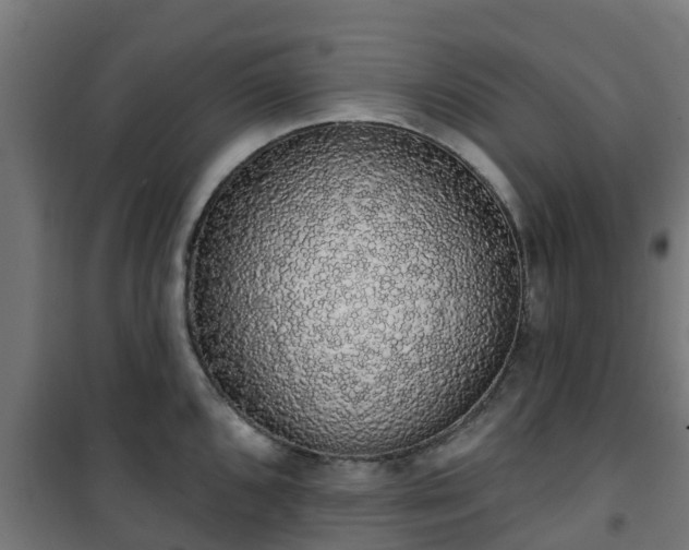 X0000101401096200807141151