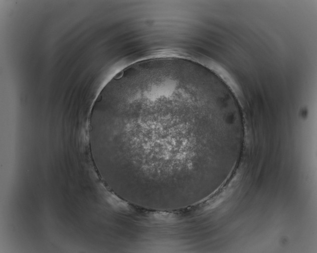 X0000101401097200807141151