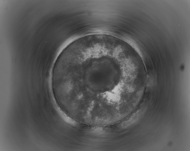 X0000101401098200807141151