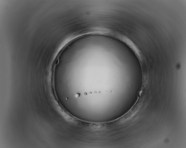 X0000101401099200807141151