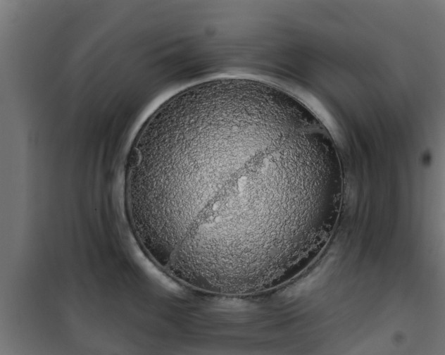 X0000101401100200807141151