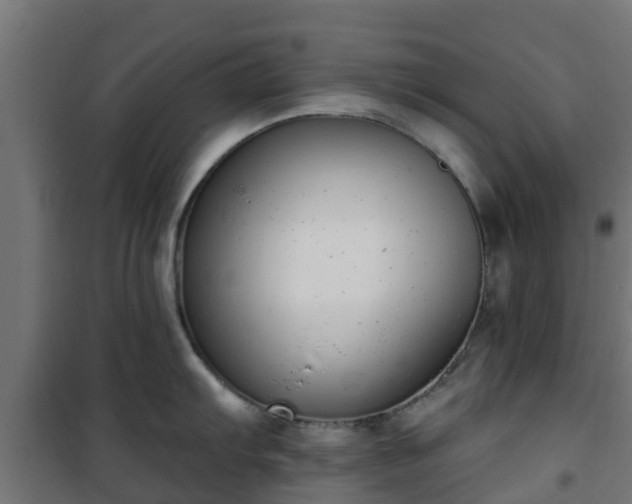 X0000101401103200807141151