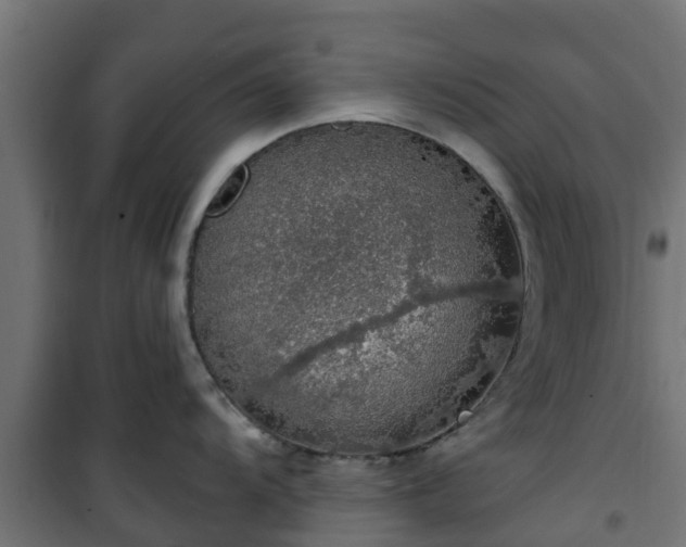 X0000101401104200807141150