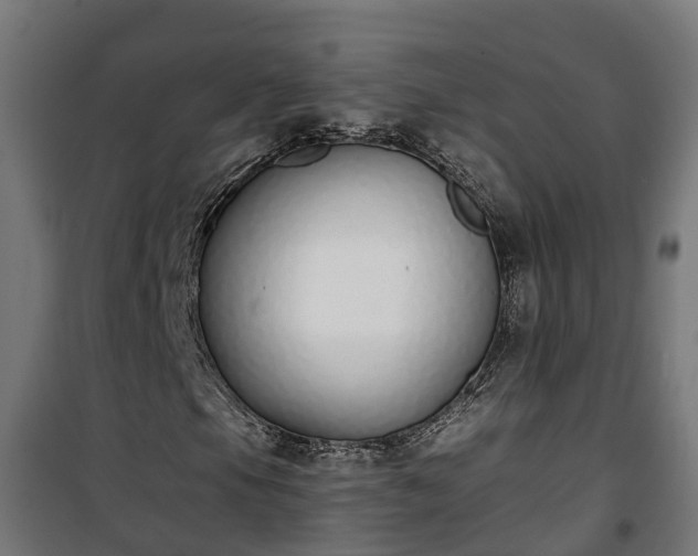 X0000101401105200807141150