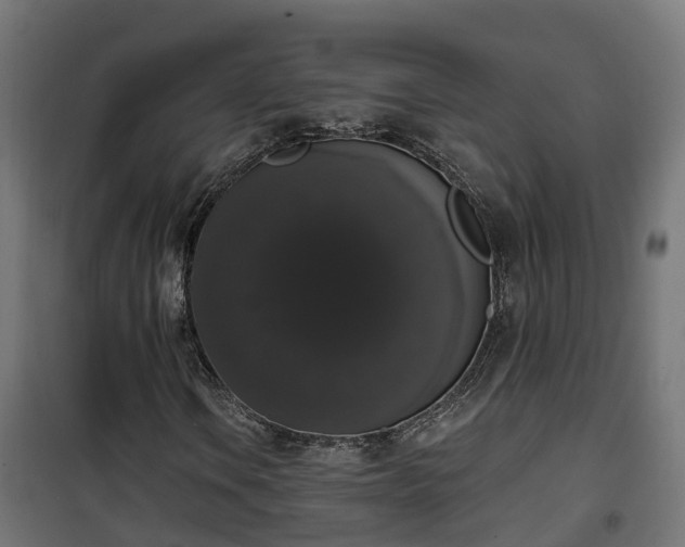 X0000101401106200807141150