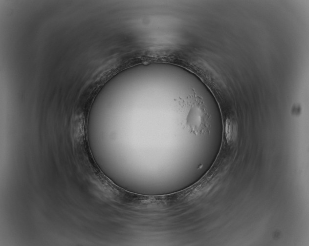 X0000101401107200807141150