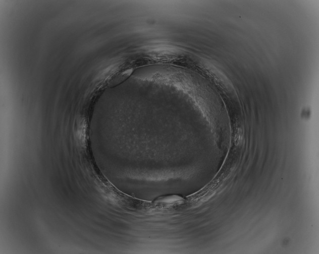 X0000101401108200807141150