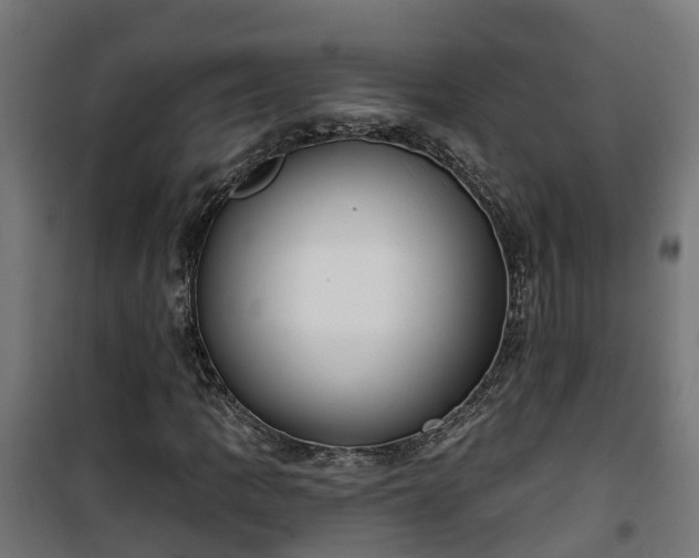 X0000101401109200807141150