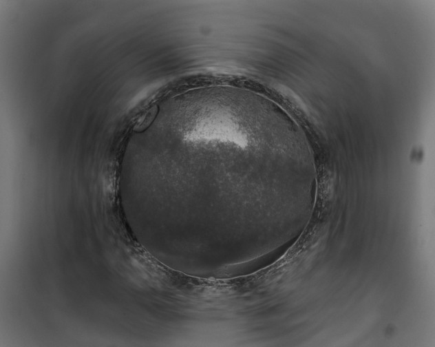 X0000101401110200807141150