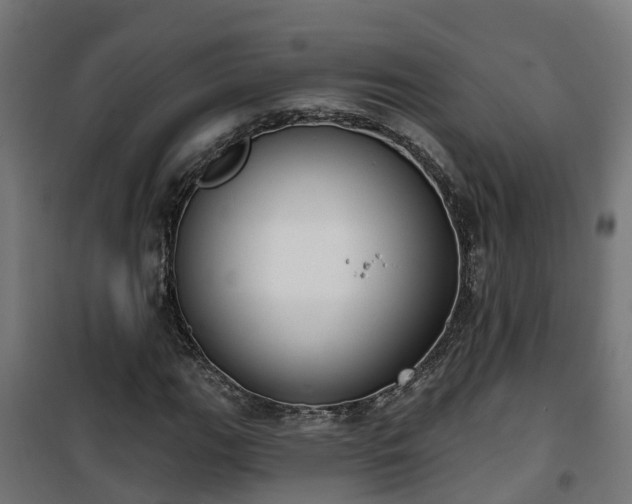 X0000101401111200807141150