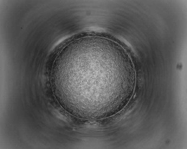 X0000101401112200807141150