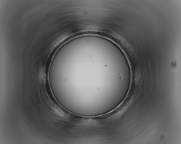 X0000101401113200807141150