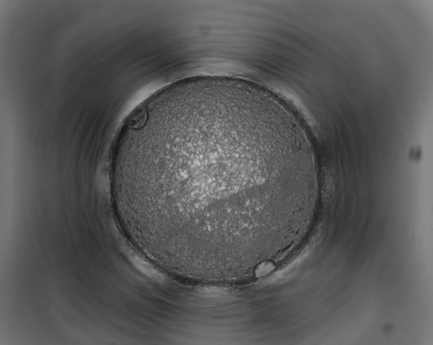 X0000101401114200807141150