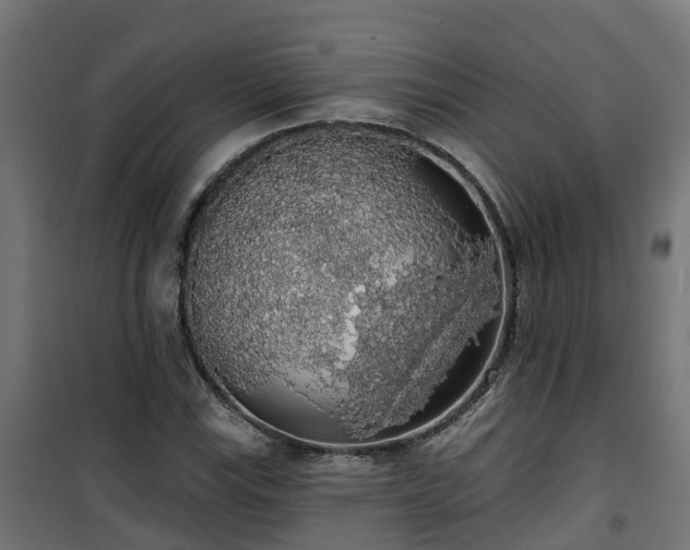 X0000101401115200807141150