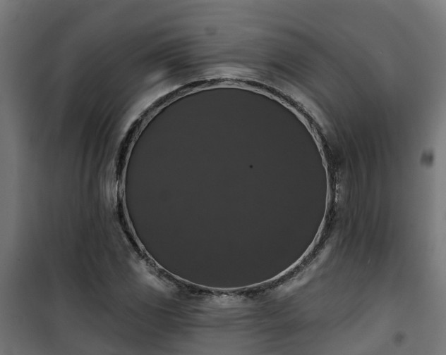 X0000101401117200807141150