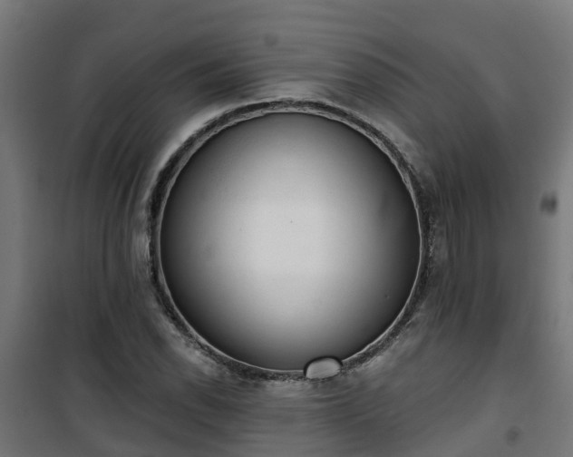 X0000101401118200807141150